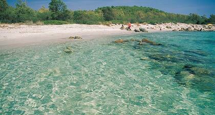 Villette Coda Cavallo