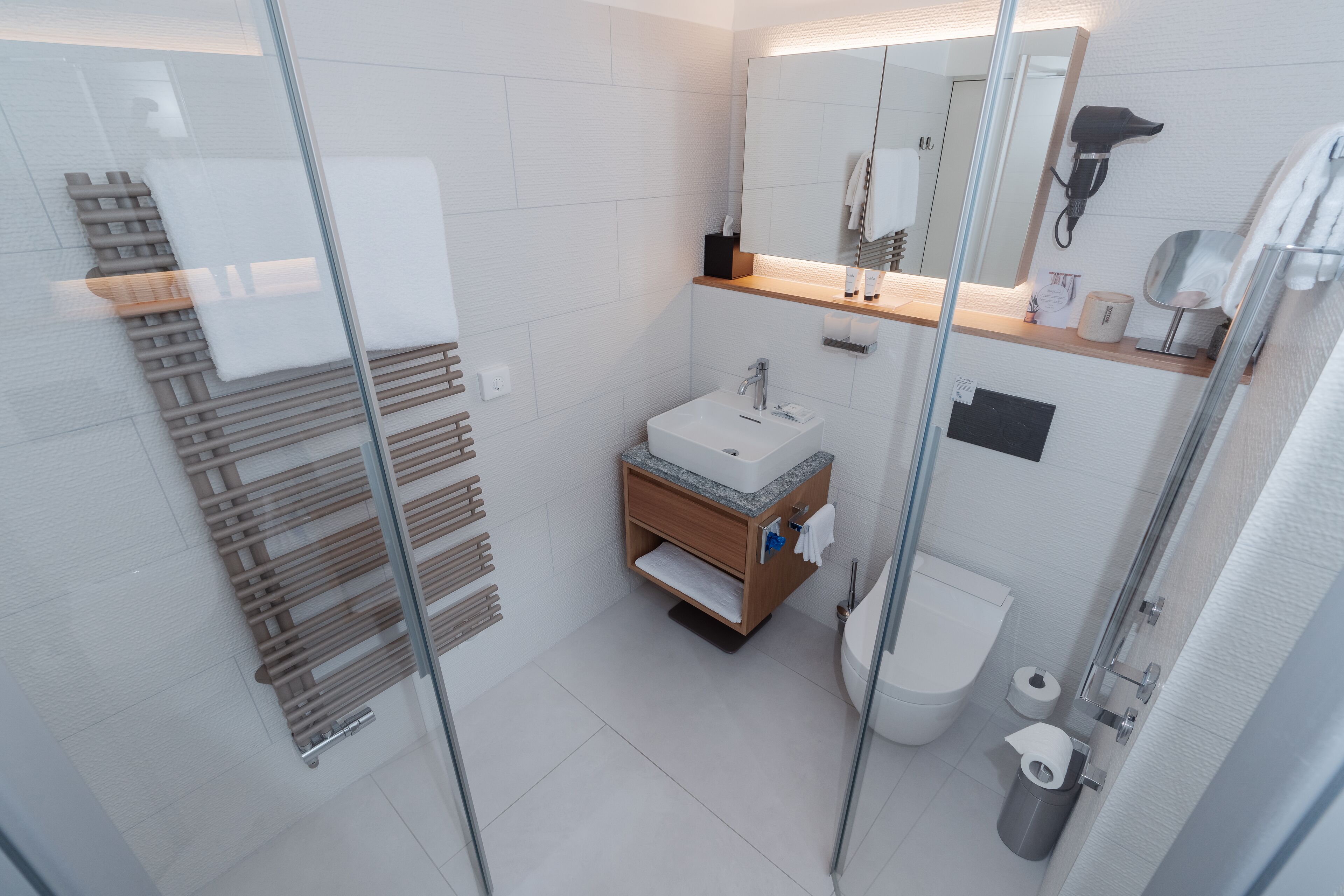 A modern bathroom with a glass shower enclosure, a wooden vanity, a sink, and a toilet.