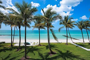 A beach with palm trees, a clear blue sky, and a calm sea.