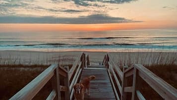 海灘、躺椅、沙灘巾