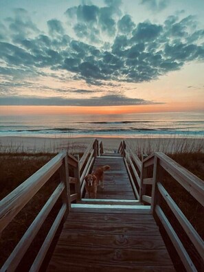 On the beach, sun-loungers, beach towels