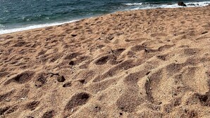 A sandy beach with the ocean in the background.