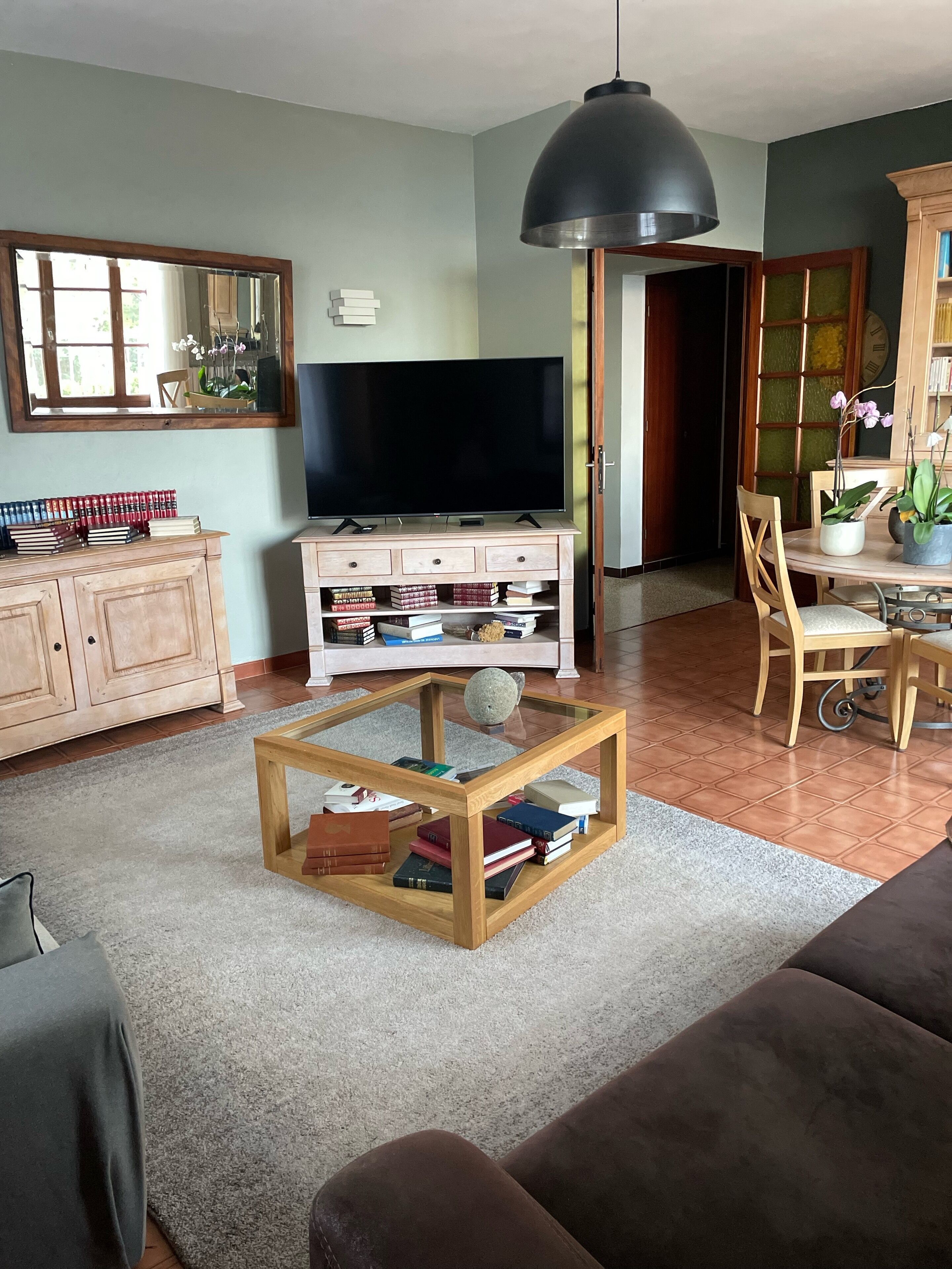 Télévision, cheminée, livres