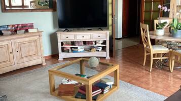 Télévision, cheminée, livres