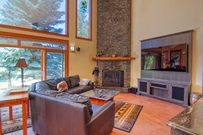 Televisión y chimenea 