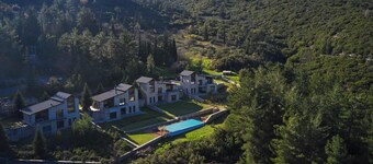 阿尔蒂帕纳索斯