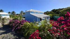 Ett tvåvåningshus med blå fasad och vita detaljer, omgivet av frodig grönska och vackra, lysande rosa bougainvilleablommor.