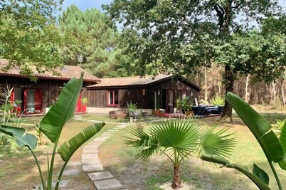 Hacienda de la Canopée