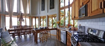 Dramatic new home, close to center, STUNNING views! Now with Starlink Internet!