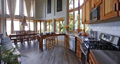 Dramatic new home, close to center, STUNNING views! Now with Starlink Internet!