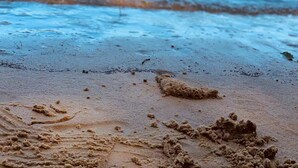 A sandy beach with footprints and a small pile of sand. - Discover tranquility near Calvert Cliffs  (Saint Leonard)