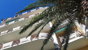 Detalle del exterior