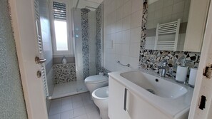 Shower, hair dryer, bidet, towels