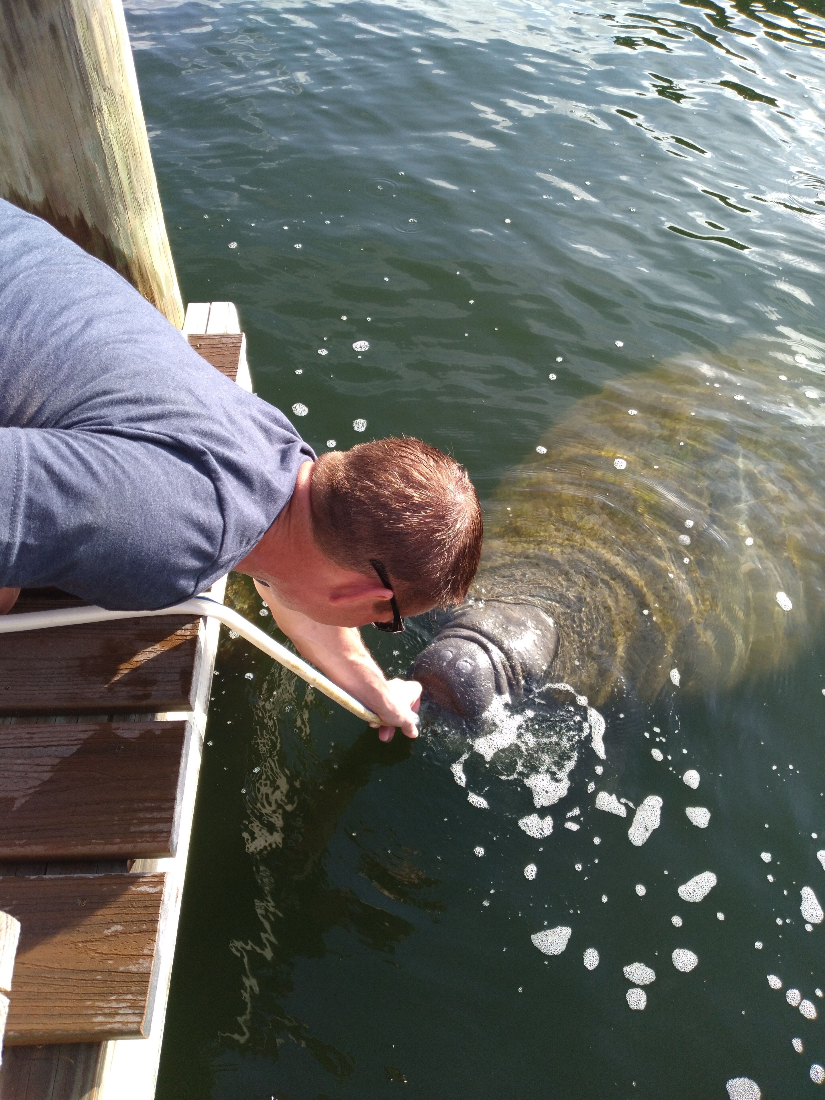 Fish, crab, swim, & watch the sunset at this perfect location. 5 min to gulf 