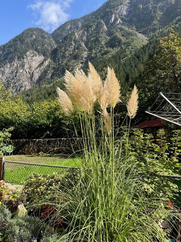 Flat (2nd floor), near Andermatt, for max 9 Pers, 4 sleepingsrooms and 2 bath