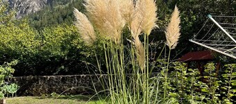 Flat (2nd floor), near Andermatt, for max 9 Pers, 4 sleepingsrooms and 2 bath