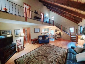 TV connectée, cheminée, lecteur de DVD, livres