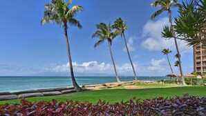 Een tropisch resort met palmbomen, een strand en een helderblauwe lucht.