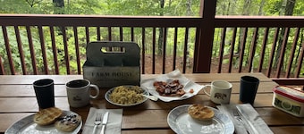 Cozy Coosawatee Cabin on top of Eagle Mountain with hot tub, fire pit and fun!!