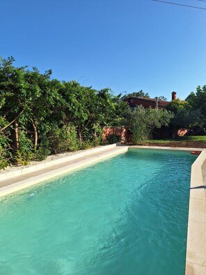 A swimming pool with clear water, surrounded by lush greenery and a red building in the background.