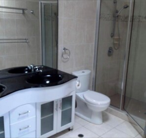 Ein Badezimmer mit einem schwarzen Waschbecken, einer weißen Toilette und einer Duschkabine aus Glas.