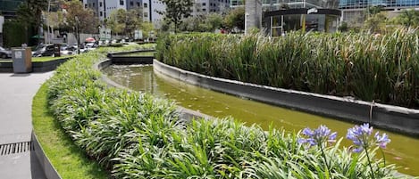 施設の敷地