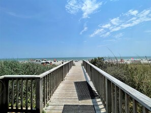 On the beach