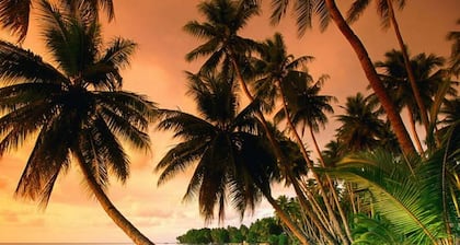 Orama Lodge Bora Bora - Le Fare