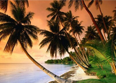 Orama Lodge Bora Bora - Le Fare 