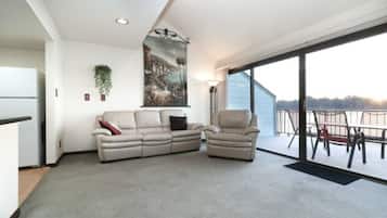 TV, fireplace, DVD player, books