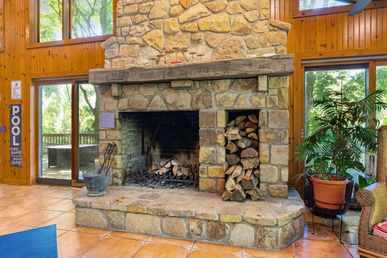 A stone fireplace with logs, a blue mat, and a potted plant.