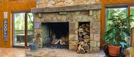 A stone fireplace with logs, a blue mat, and a potted plant.