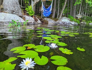 Exterior detail - Cedar🏡 Waterfront💦 Hot tub🔥 Pool🎱 Privacy 🕵️ (Norway)