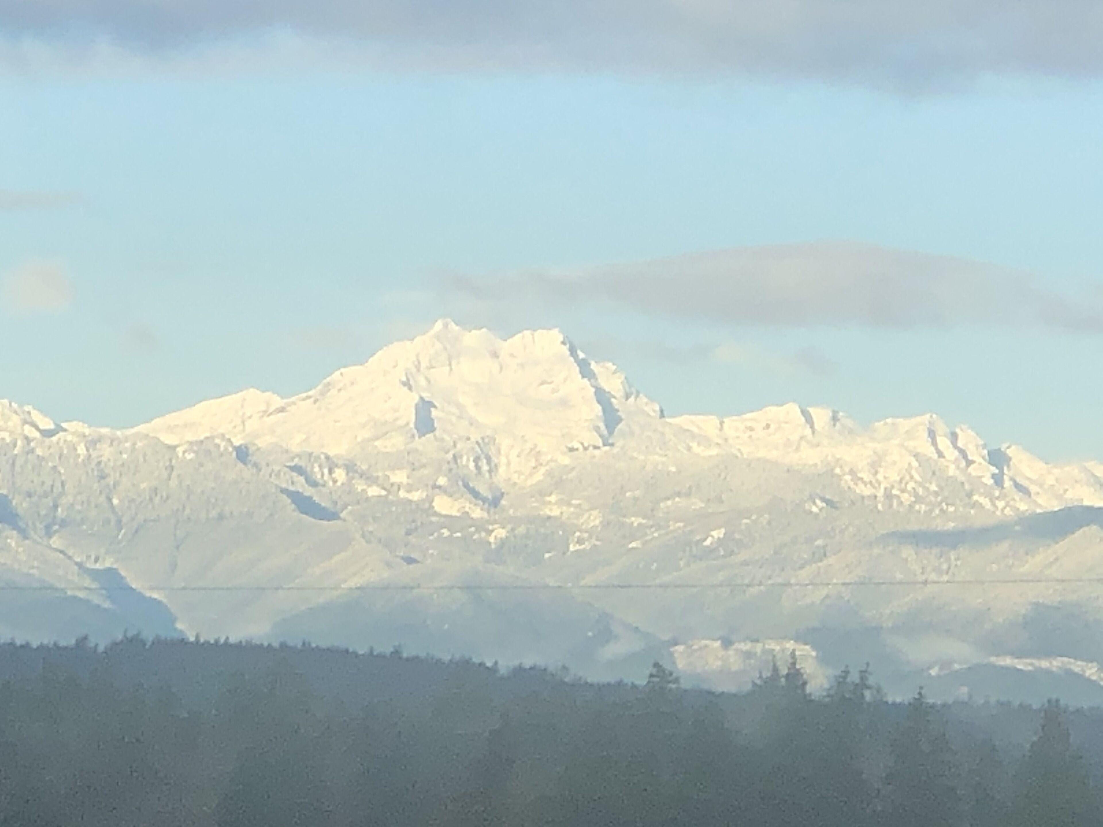 Cozy Olympic Mountain View Getaway