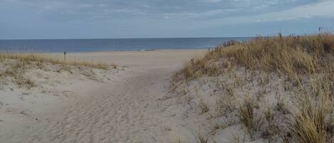 Ranta lähistöllä, aurinkotuoleja