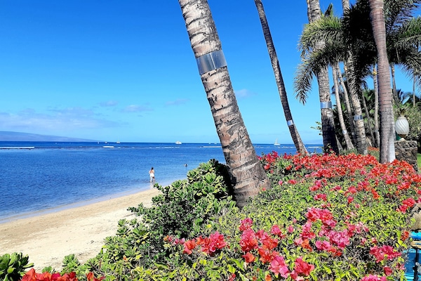 Lahaina Shores Beach Front Resort