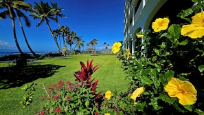 Property grounds - Lahaina Shores 406 Beach Front Mountain View (Lahaina)