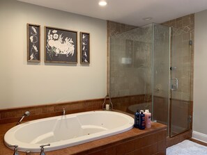 Ensemble douche/baignoire, baignoire à jets, sèche-cheveux, bidet