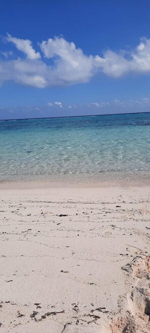 Playa en los alrededores y toallas de playa 