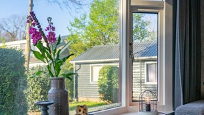 A window sill with a vase of flowers, a birdcage, and a small owl. - Romantic chalet on the Veluwe (Hulshorst)