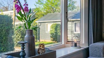 A window sill with a vase of flowers, a birdcage, and a small owl.