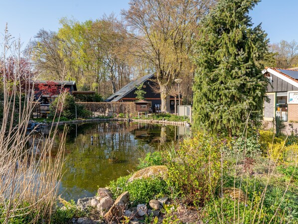 Property grounds - Beautiful chalet with garden on the Veluwe (Hulshorst)