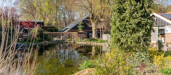 Sustainable tiny house surrounded by nature