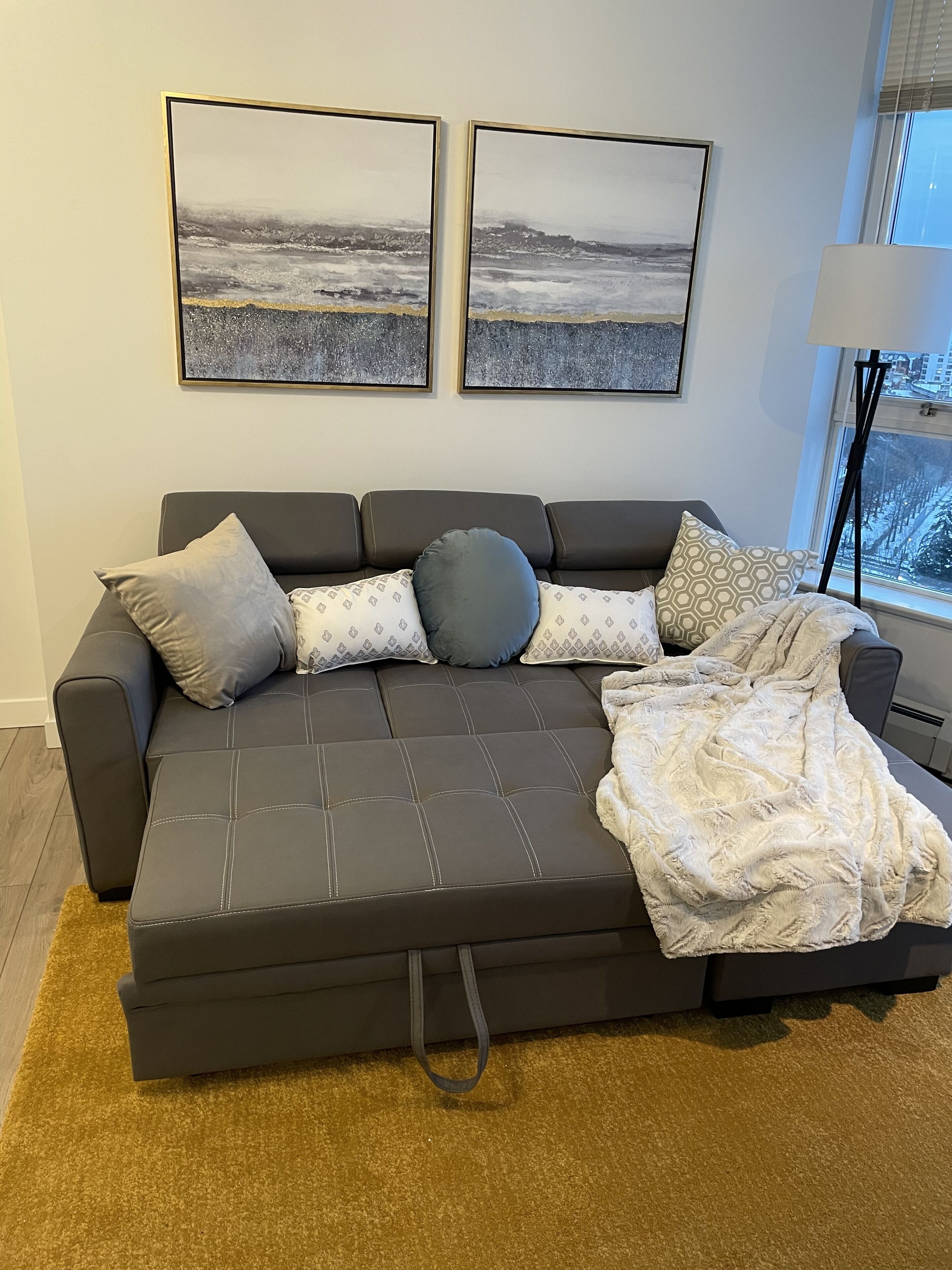 A modern living room with a grey sofa, patterned cushions, a throw blanket, and two framed landscape paintings on the wall.