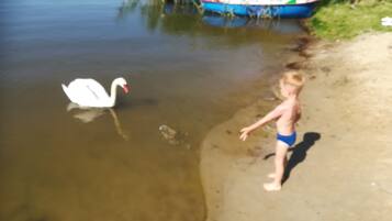 In Strandnähe, Liegestühle, Strandtücher