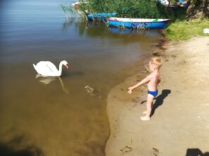 Nära stranden, solstolar och strandhanddukar