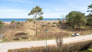 Ett kustlandskap med en strand, träd och en väg.