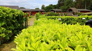 A garden with various plants and a pathway leading to a red building. - House Zempin - Holiday homes Räuberkuhle 1 (Koserow)