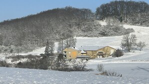 A two-story house with a sloped roof, surrounded by a snow-covered landscape and trees.