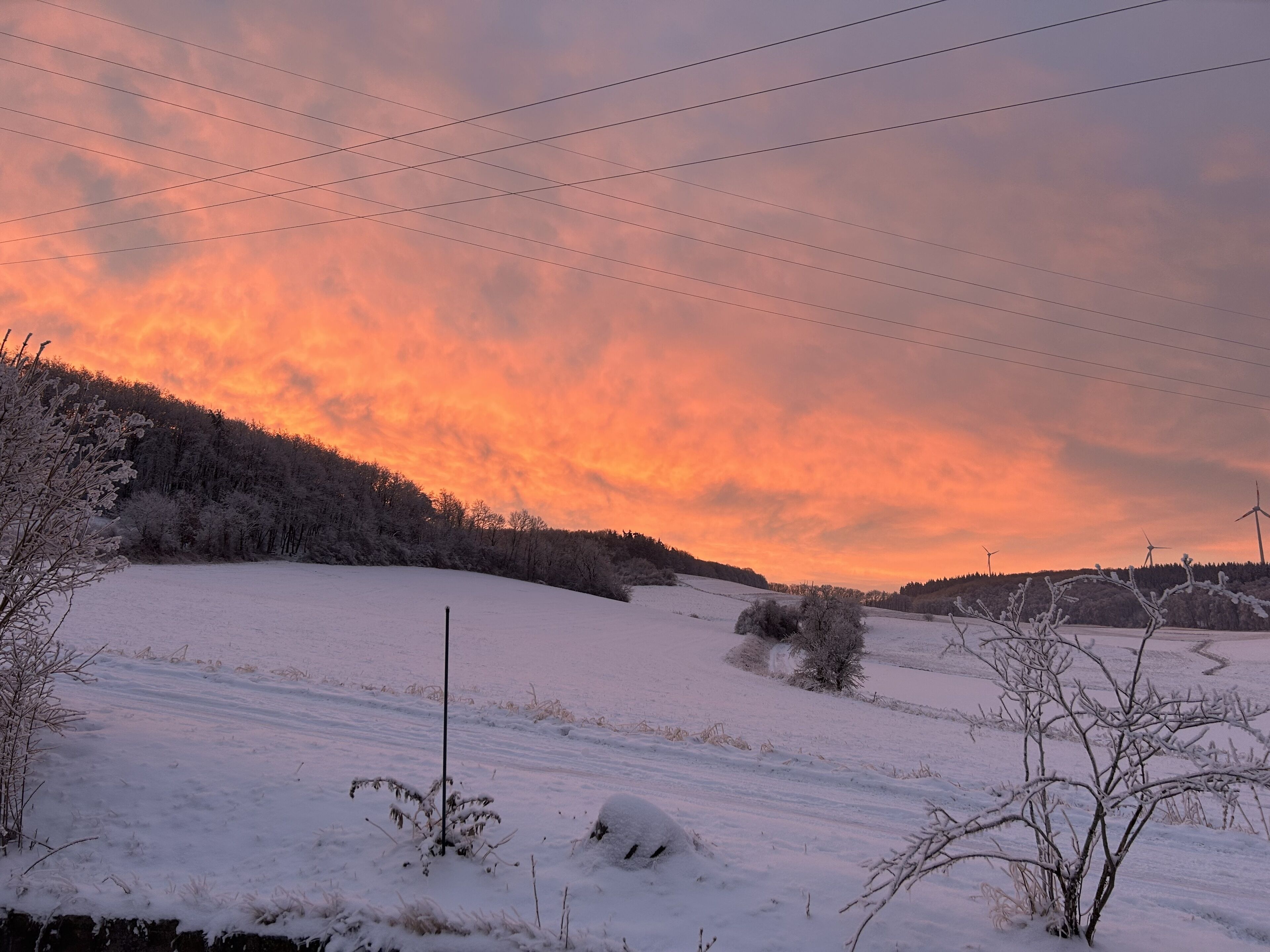 Un paysage enneigé, avec un coucher de soleil, des lignes électriques et des éoliennes.